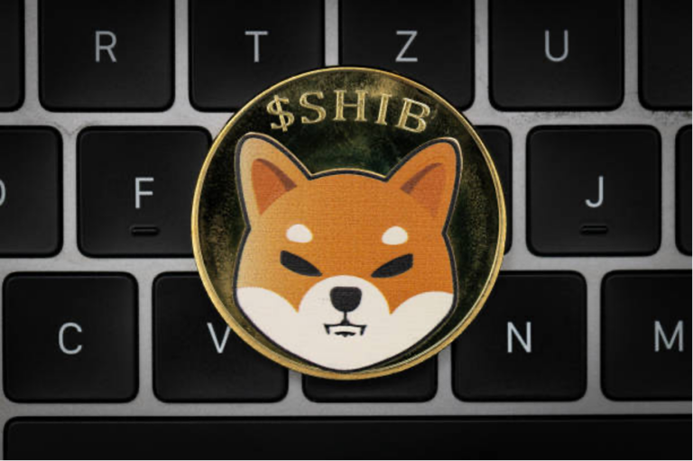 Shiba Inu Launches “WHY Combinator”: Boosting Web3 Innovation and BONE Functionality